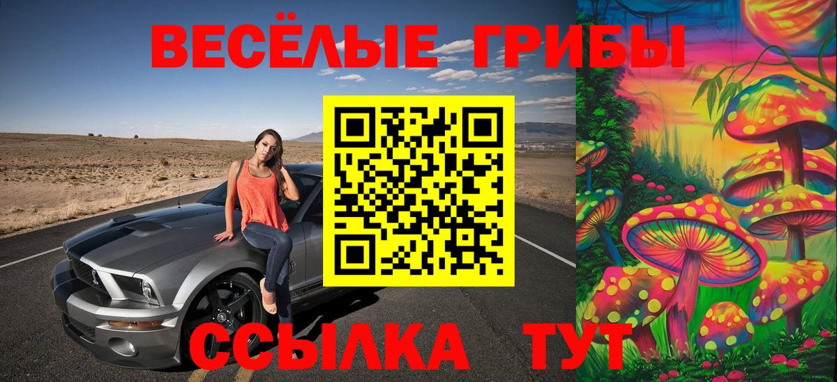 Новотроицк  Галлюциногенные грибы мицелий  Вход с VPN  Галлюциногенные грибы GOLDEN TEACHER 